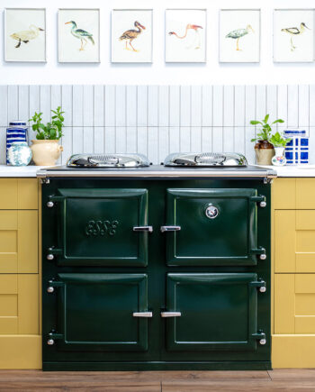 ESSE 1000 T Pro Electric Range Cooker